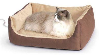 Best Heated Cat Bed