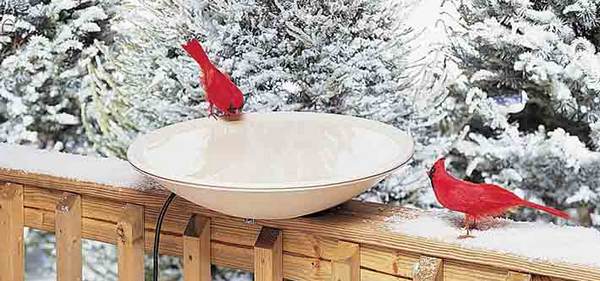 Heated Bird Bath