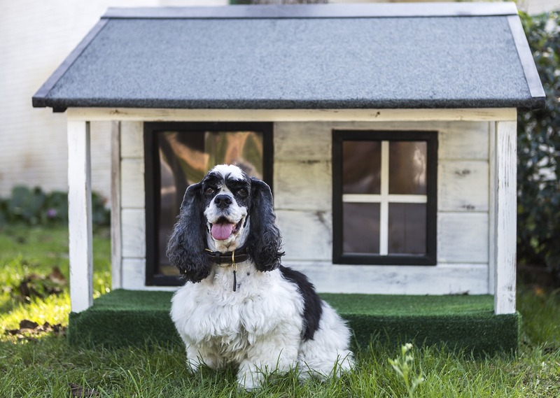 Heated Doghouse