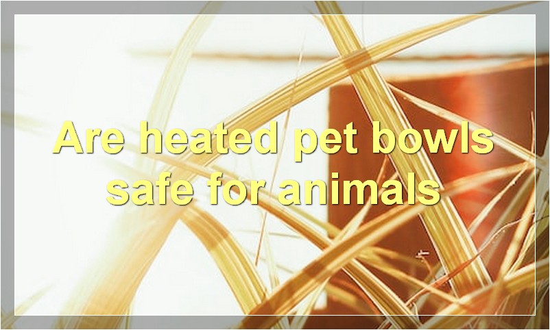 Are heated pet bowls safe for animals