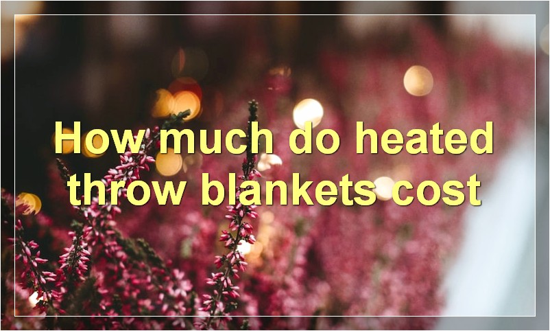 How much do heated throw blankets cost
