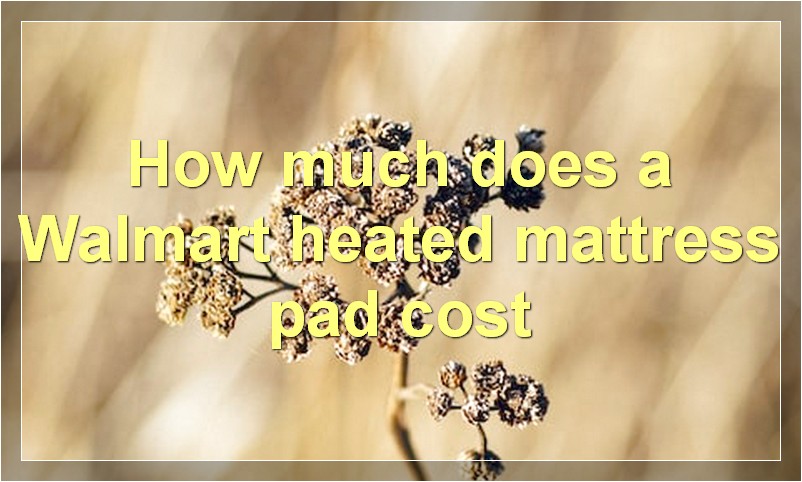 How much does a Walmart heated mattress pad cost