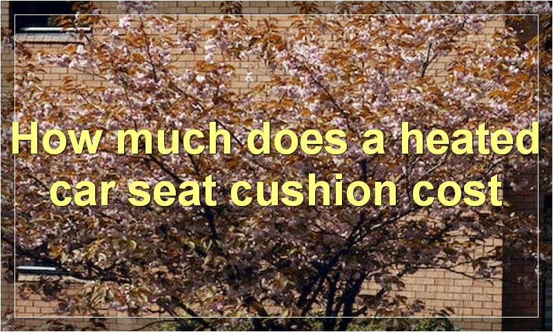 How much does a heated car seat cushion cost