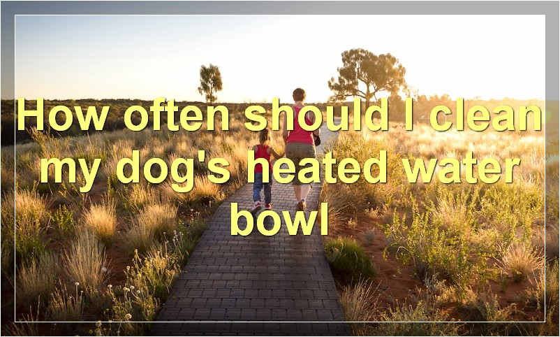 How often should I clean my dog's heated water bowl