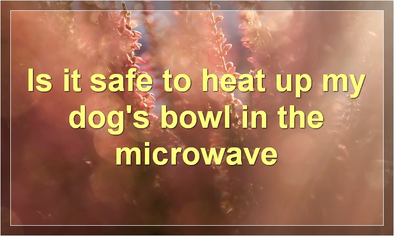 Is it safe to heat up my dog's bowl in the microwave