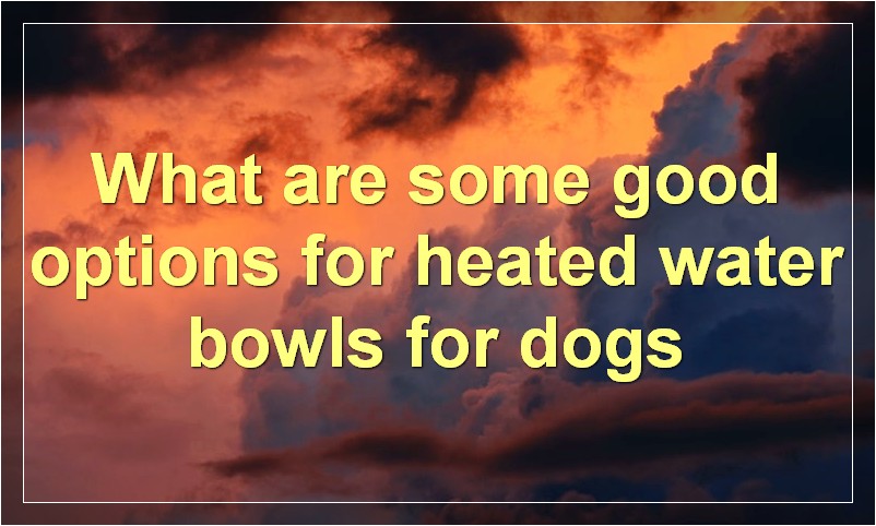 What are some good options for heated water bowls for dogs