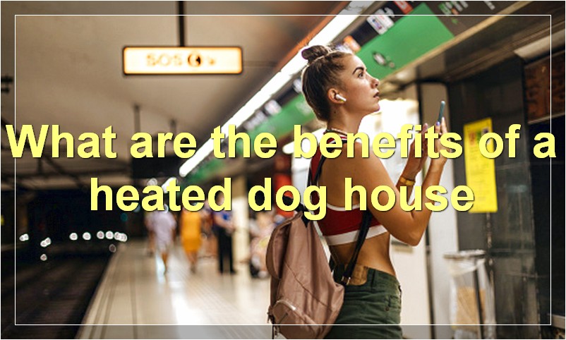 What are the benefits of a heated dog house