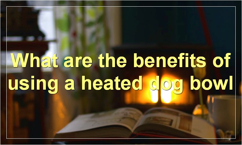 What are the benefits of using a heated dog bowl