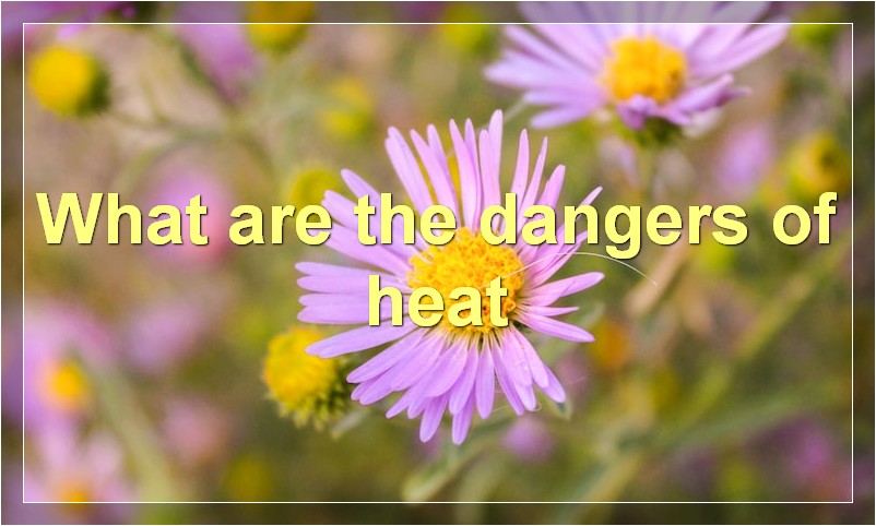What are the dangers of heat